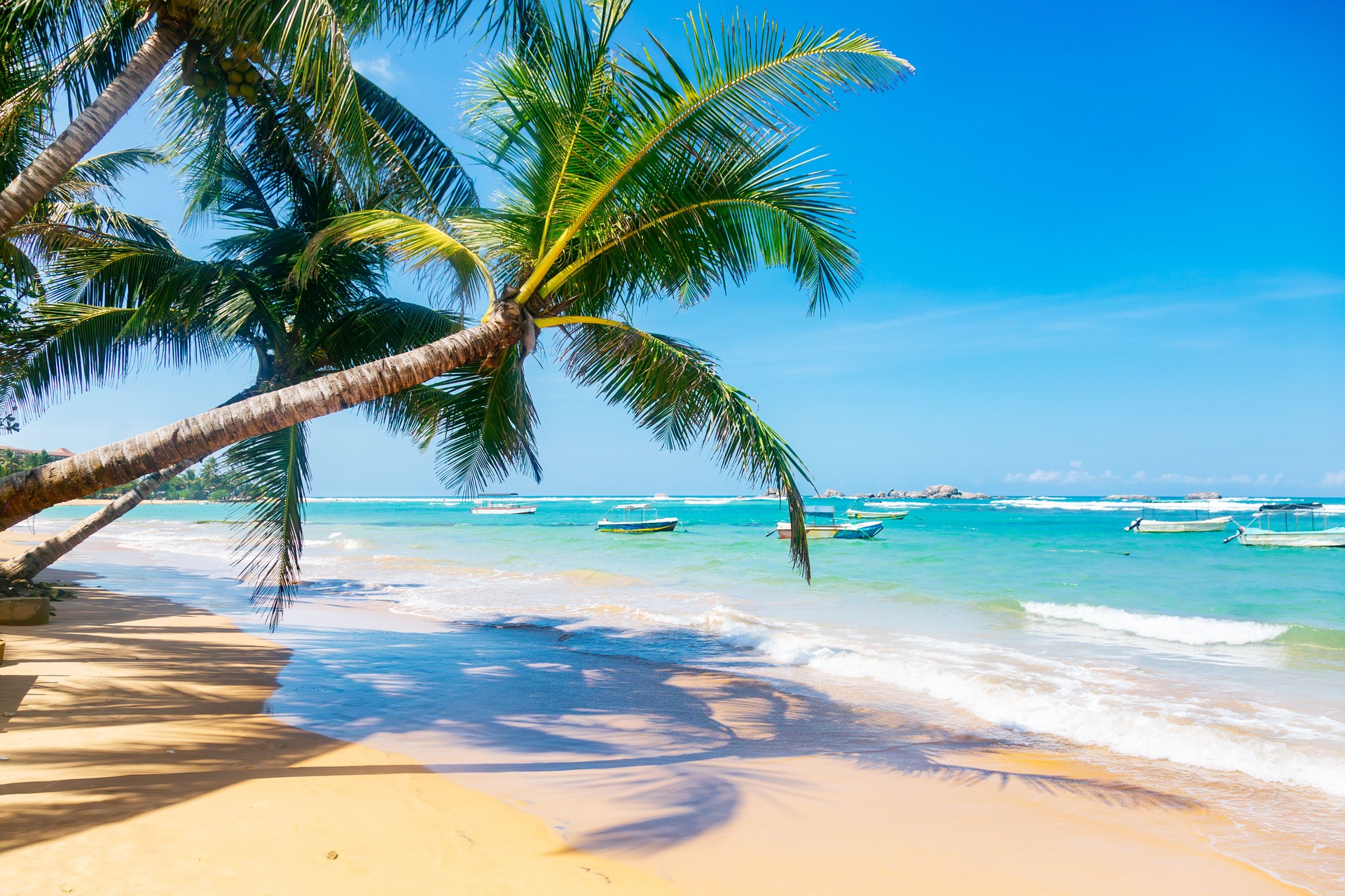 Tropical Beach with Palm Trees and Boats in Hikkaduwa.