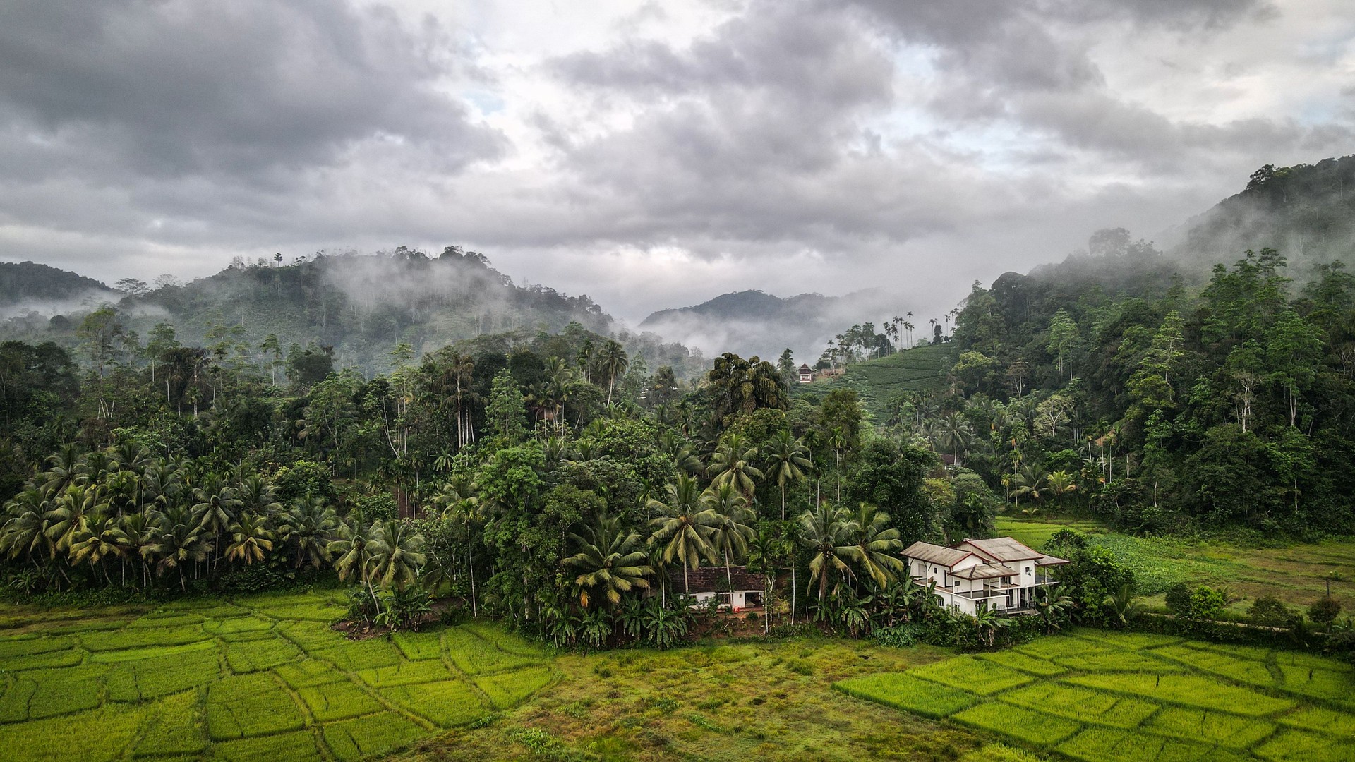 The aerial view of Sinharaja Forest Reserve in Sri Lanka